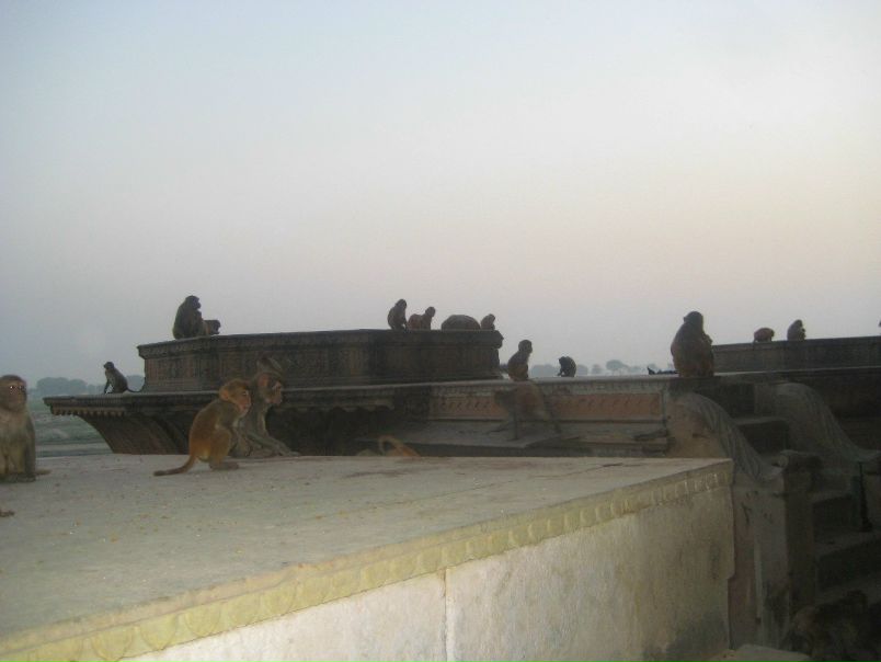 №14, Алла Акишева, Казань №14, Алла Акишева, Казань