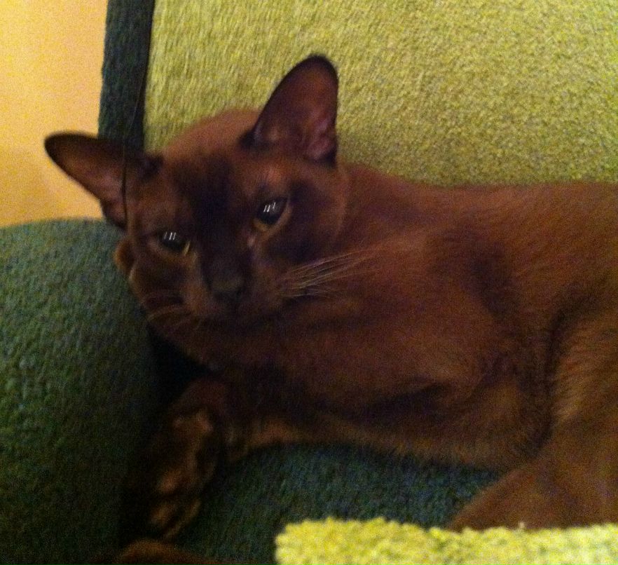 Екатерина Беляева | Москва