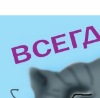 №52, Анастасия Казанчук №52, Анастасия Казанчук