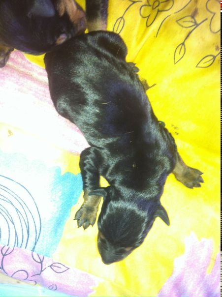 №142, Александр Карпецкий, 38 лет, Punta Cana №142, Александр Карпецкий, 38 лет, Punta Cana