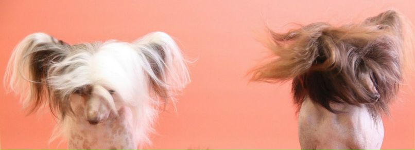 Наталия Попова | Йошкар-Ола