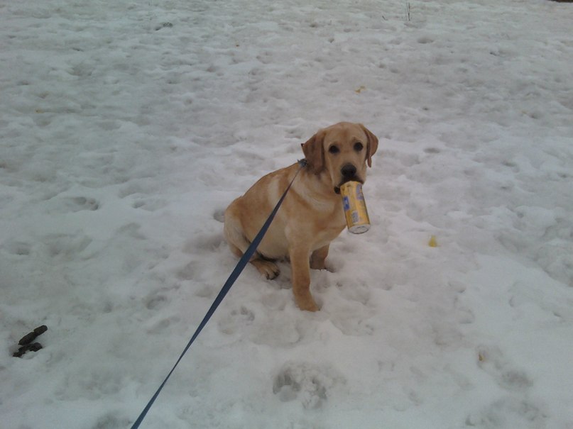 Кир Генадич CyKaMaHb9K | Москва