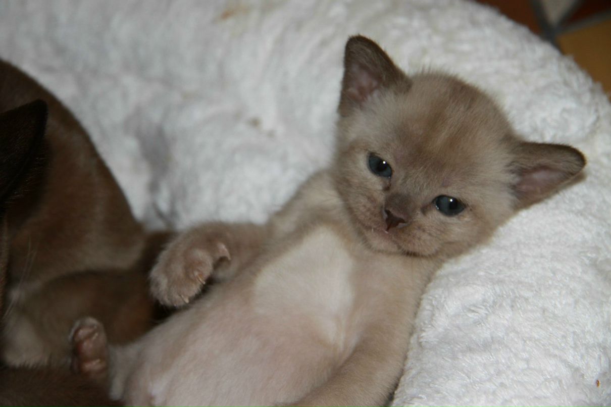 Наталья Лукашова(Алексеева) | Санкт-Петербург