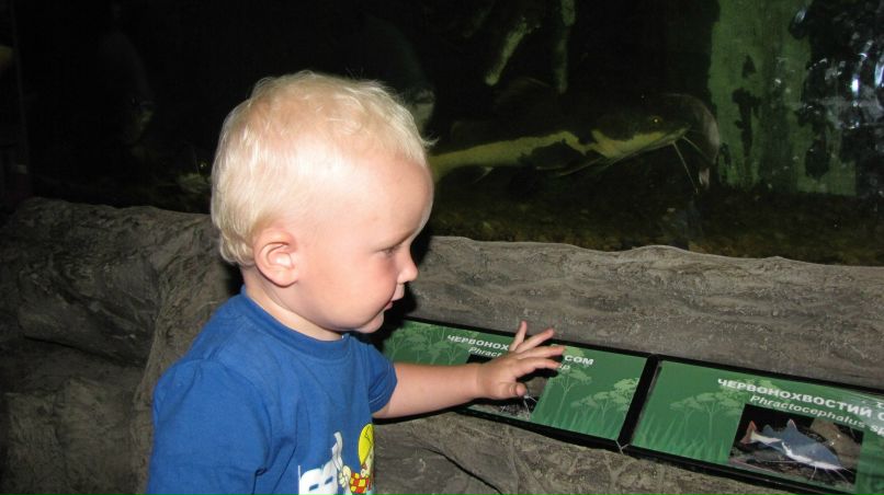 Lera Lebedeva | Киев