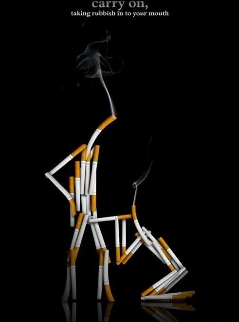 Ирина Федотова | 