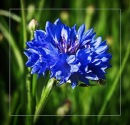 Фотография Татьяна Гришичева