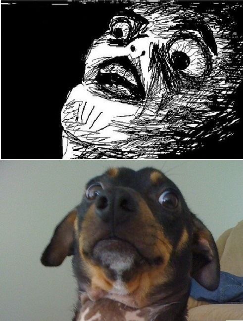 Ирина Лымарь | Киев