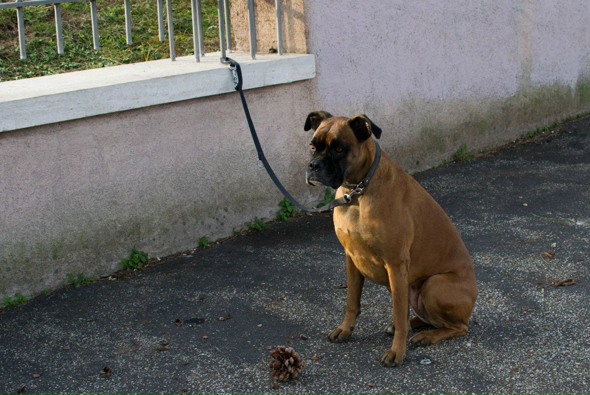 Анастасия Осьмякова | Москва