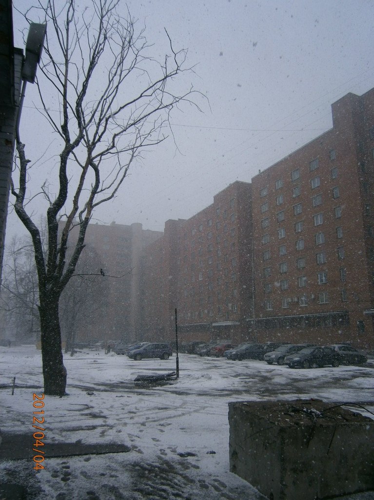 Маргарита Фомичёва Лисса | Санкт-Петербург