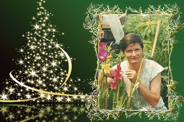 №20, Татьяна Корнеева №20, Татьяна Корнеева