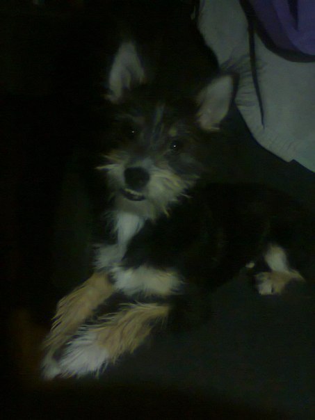 №22, Катя Терентьева, 33 года, Сосногорск №22, Катя Терентьева, 33 года, Сосногорск