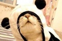 Руслан Уста | Новоалексеевка