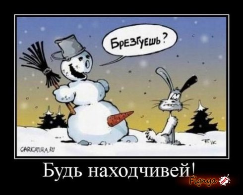 №6, Владимир Шибанов №6, Владимир Шибанов