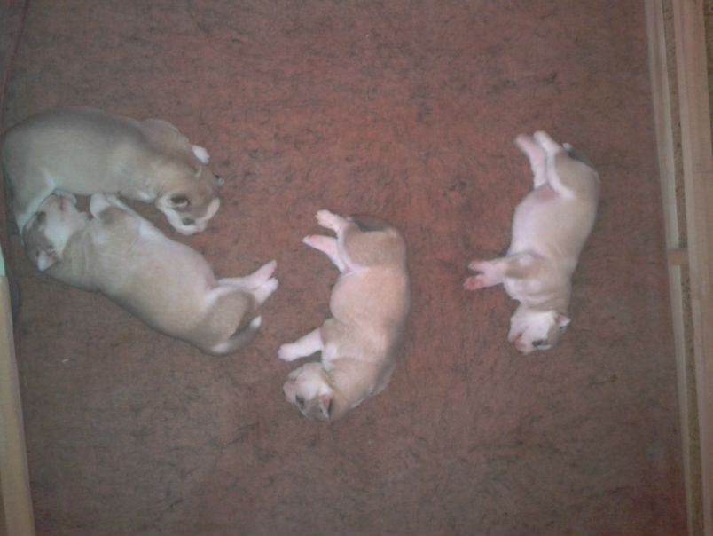 №52, Олександр Філоненко, 31 год, Ужгород №52, Олександр Філоненко, 31 год, Ужгород