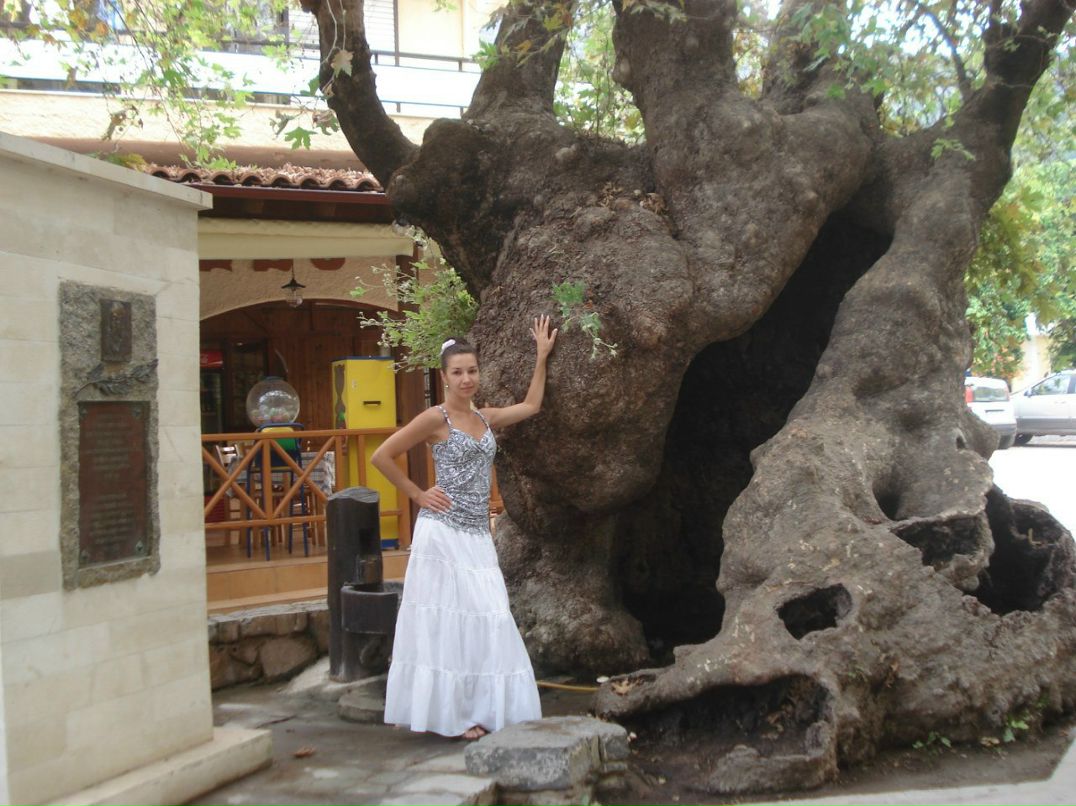 Татьяна Задер | Киев