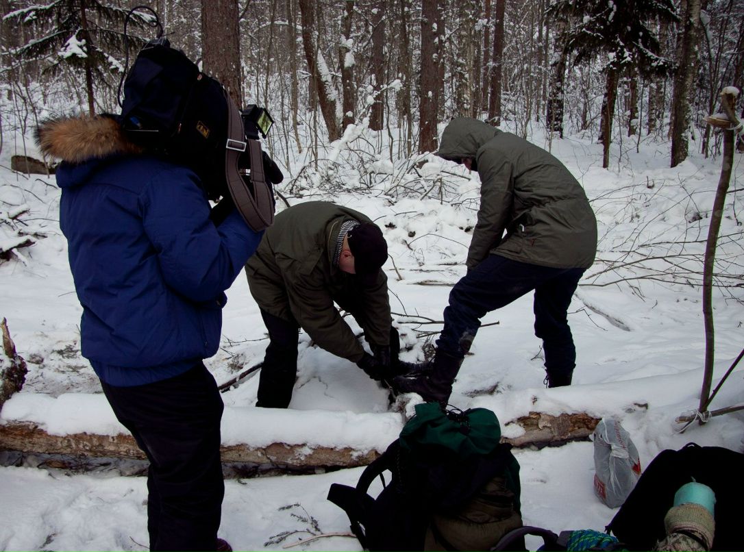 Дмитрий Паппель | Chennai