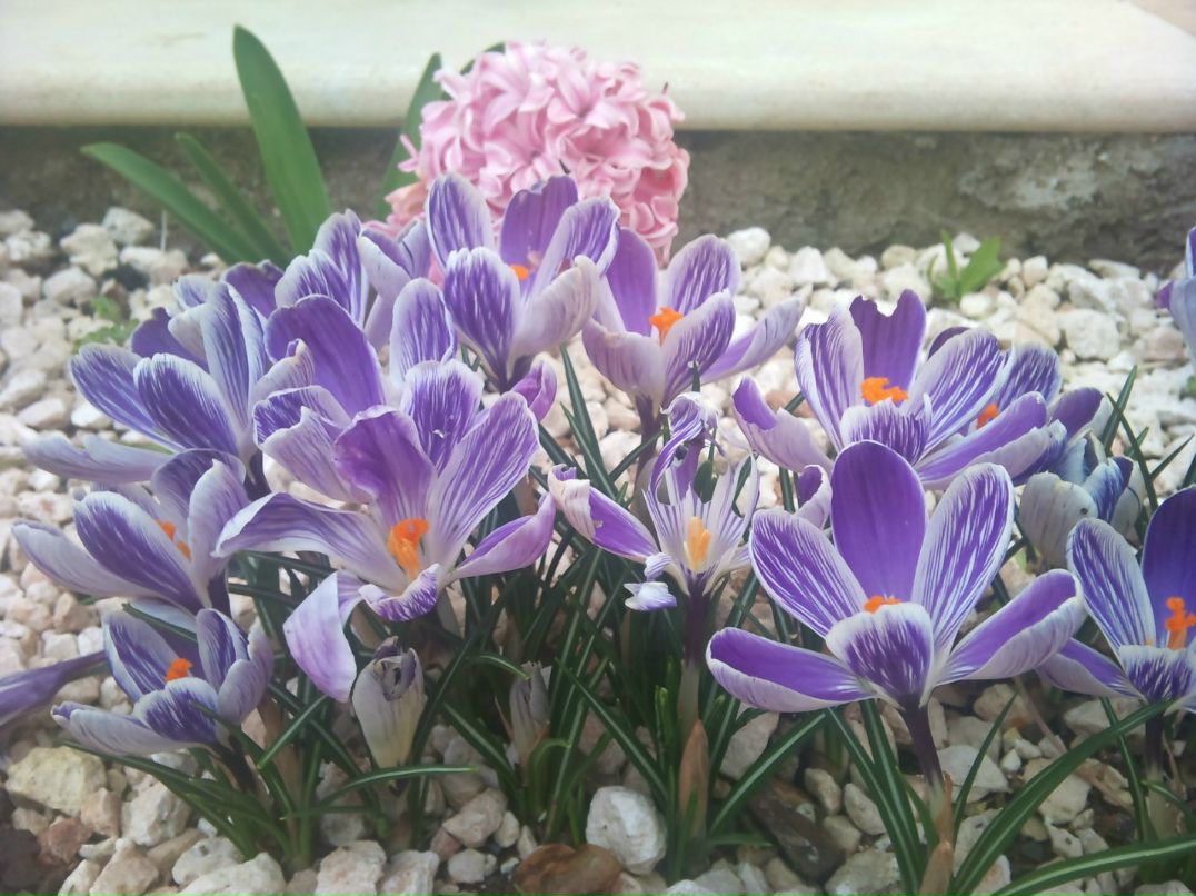 Ольга Смолокурова | Limassol