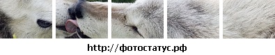 №22, Юля Буран №22, Юля Буран