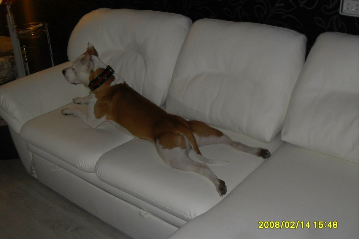 Анна Смородина | Санкт-Петербург