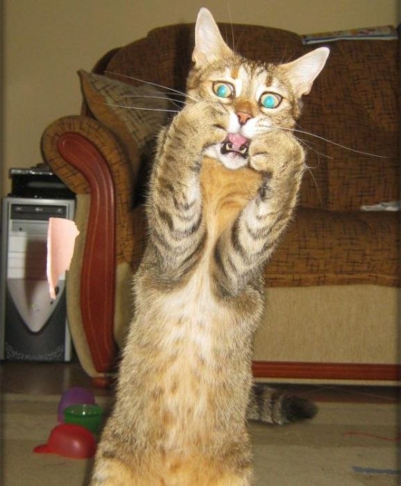 Саня Оськин | Снежногорск