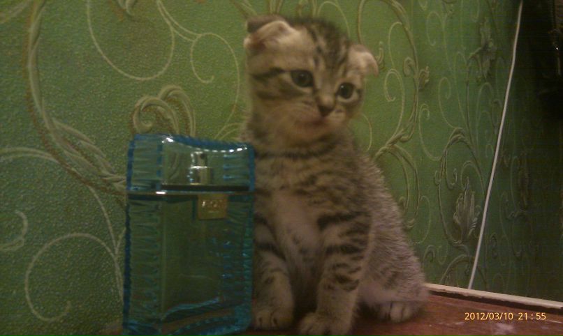 Валерий Чуриков | Мурманск