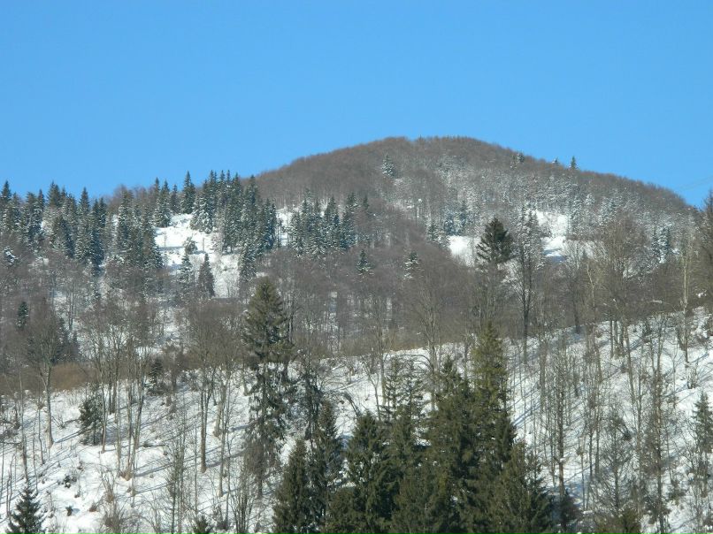 Роман Плахтина | Львов