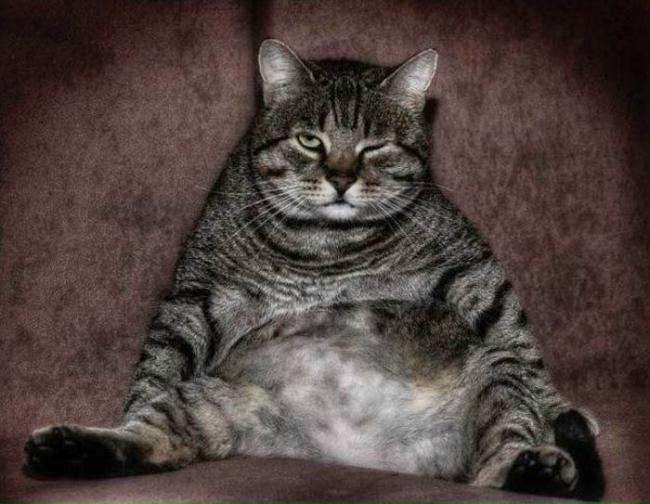 №21, Алина Коваль, Киев №21, Алина Коваль, Киев