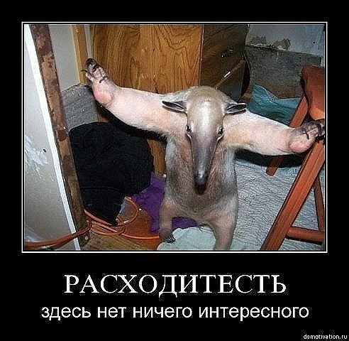 №81, Timur Sharifullin, 28 лет, Казань №81, Timur Sharifullin, 28 лет, Казань