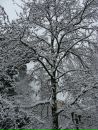 №33 Ирена Пфеффер 24.01: профиль, фото, статус - ВКонтакте