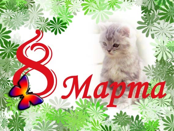 №29, Вера Вологдина, 34 года, Ангарск №29, Вера Вологдина, 34 года, Ангарск