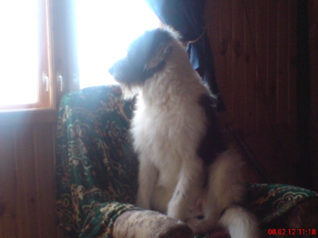 Ира Макарова | Санкт-Петербург