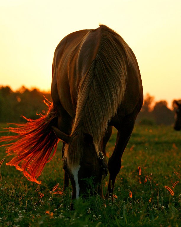 Оксана Ільків | Львов