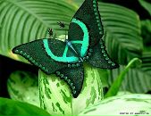 №34 Виктория Бахарева 04.04.1996: профиль, фото, статус - ВКонтакте