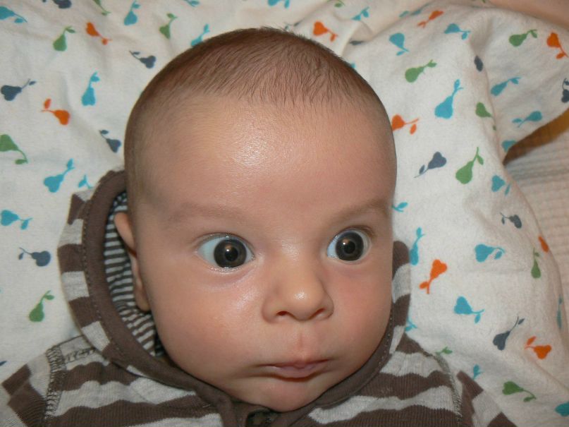 Александр Баженов | Санкт-Петербург