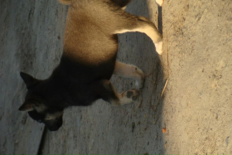 Вова Федус | Тернополь