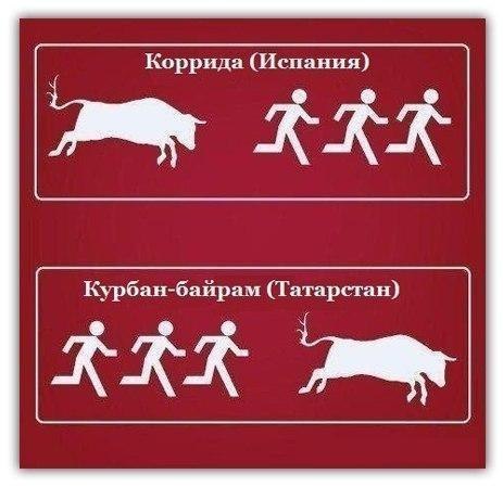 Ильнур Минсабиров (BEST BOY) | Нижнекамск