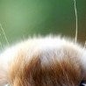 №29 Ирина Чугункина 08.05.1991: профиль, фото, статус - ВКонтакте