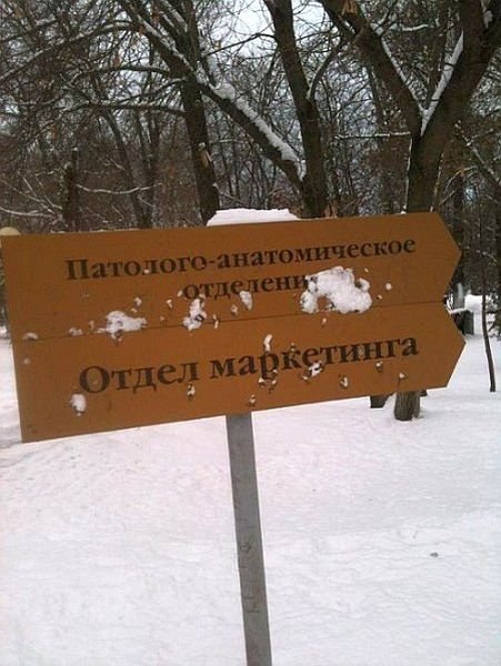 Виталий Холодный Сергеевич | Новосибирск