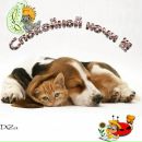 №13 Светлана Садова : профиль, фото, статус - ВКонтакте