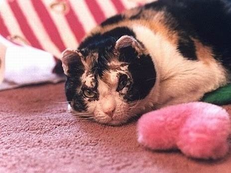 №148, Анастасия Романова, Санкт-Петербург №148, Анастасия Романова, Санкт-Петербург