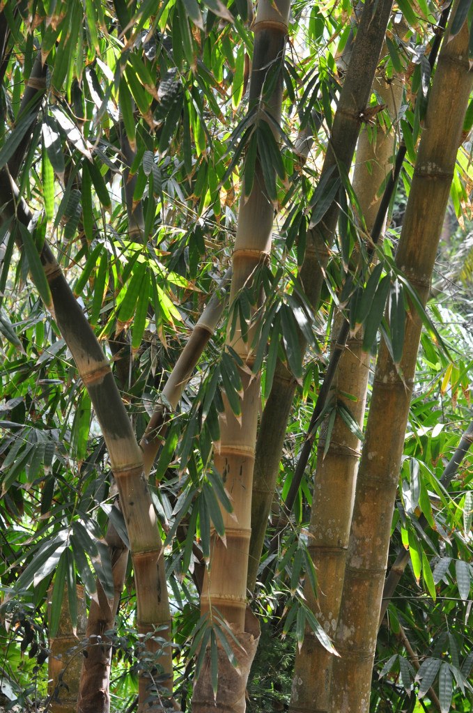 Валерия Ковалёва | Воронеж