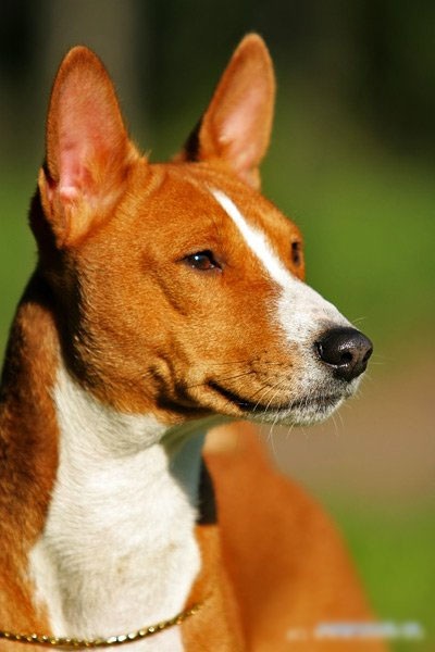 №30, Дмитрий Ильенков, Магнитогорск, Россия №30, Дмитрий Ильенков, Магнитогорск, Россия