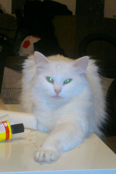 №89, Rami Mekni, Санкт-Петербург №89, Rami Mekni, Санкт-Петербург