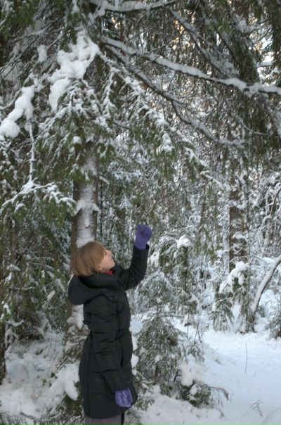 №26, Дина Семенякина, Санкт-Петербург №26, Дина Семенякина, Санкт-Петербург