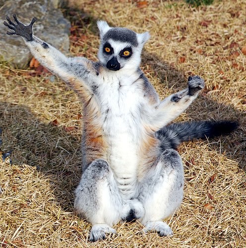 Ольга Гашпар | Москва