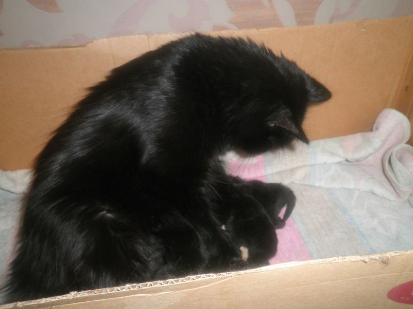 Ольга Гордеева | Ноябрьск