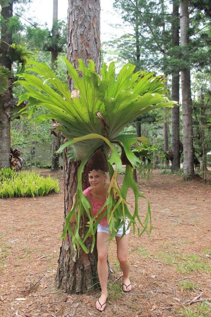 Зоряна Гамула | Киев