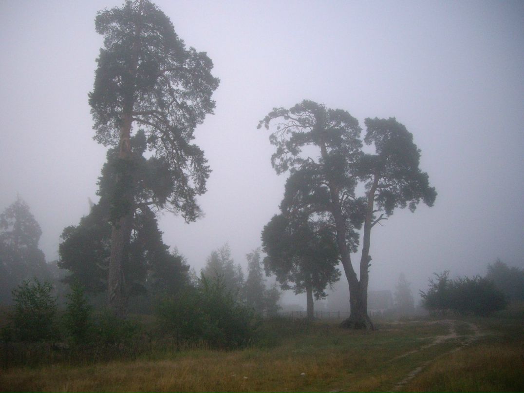 Александр Антонов | Москва