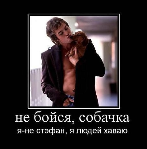 Вова Бухараев | Ростов-на-Дону