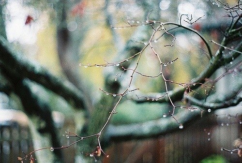 Angy štils | Хабаровск